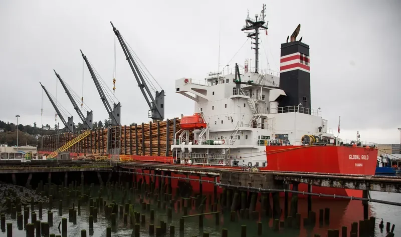 GLOBAL GOLD Bulk Carrier IMO 9614359 photo 5