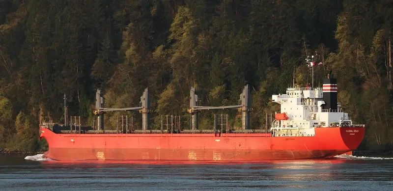 GLOBAL GOLD Bulk Carrier IMO 9614359 photo 7