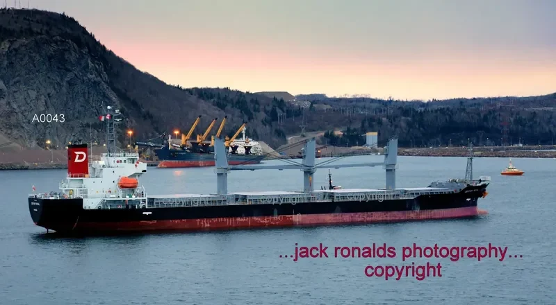 CENTURY ROYAL Bulk Carrier IMO 9614385