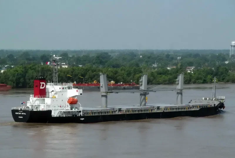 CENTURY ROYAL Bulk Carrier IMO 9614385 photo 5