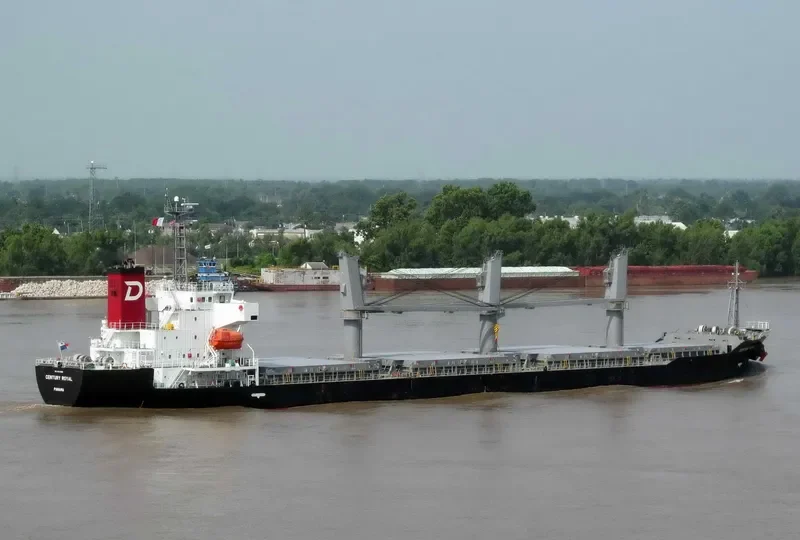 CENTURY ROYAL Bulk Carrier IMO 9614385 photo 6