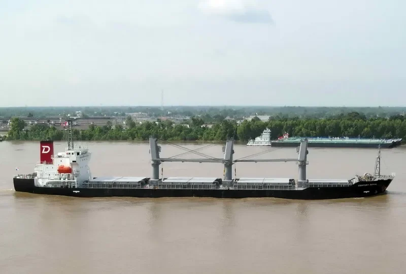 CENTURY ROYAL Bulk Carrier IMO 9614385 photo 7