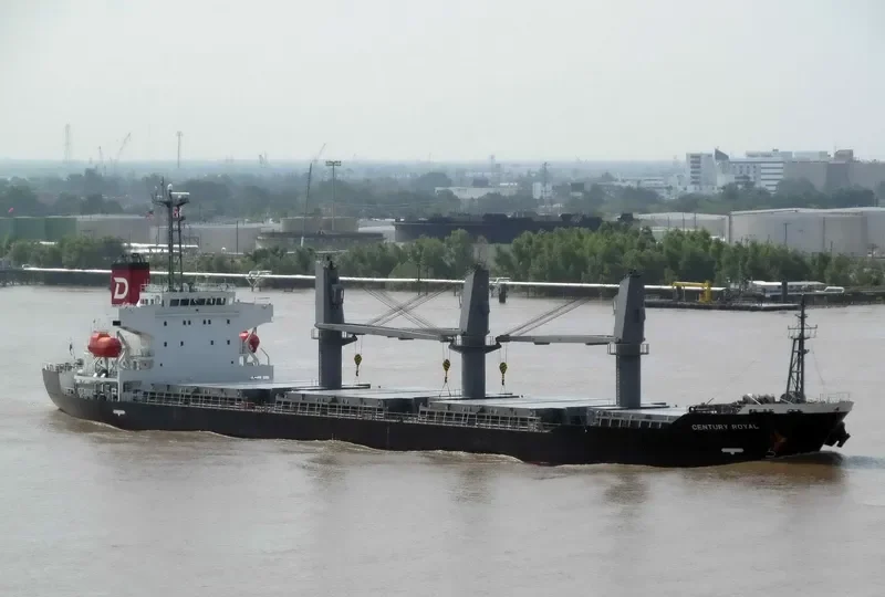 CENTURY ROYAL Bulk Carrier IMO 9614385 photo 8
