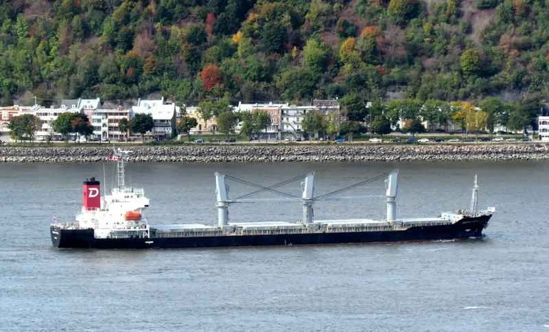 CENTURY ROYAL Bulk Carrier IMO 9614385 photo 10