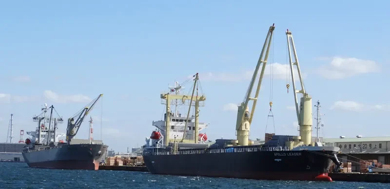 APOLLO LEADER General Cargo IMO 9614397 photo 4