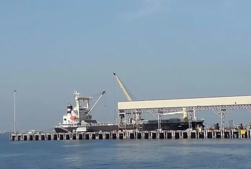 APOLLO OAK General Cargo IMO 9614402
