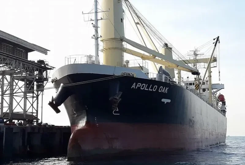 APOLLO OAK General Cargo IMO 9614402 photo 2
