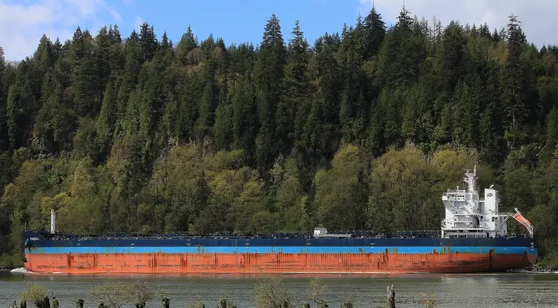 PABAL Bulk Carrier IMO 9614842 photo 4