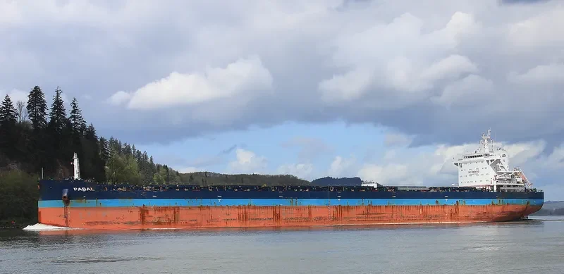 PABAL Bulk Carrier IMO 9614842 photo 7