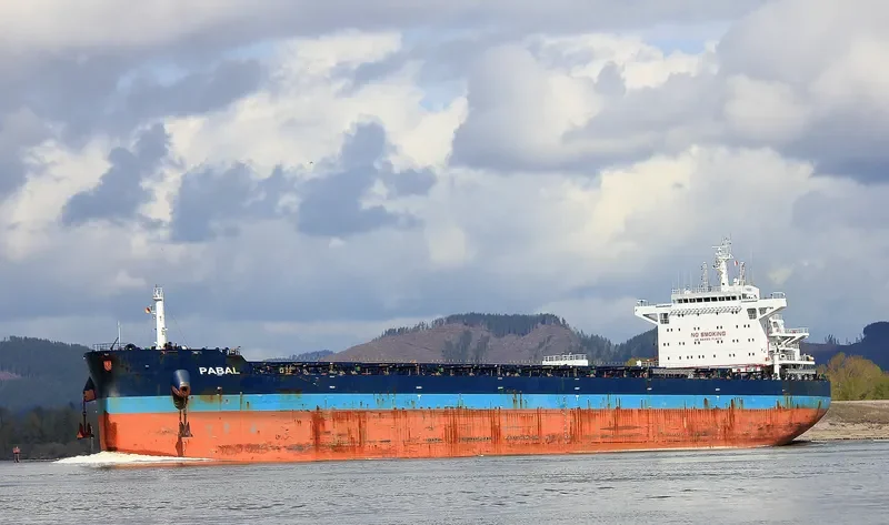 PABAL Bulk Carrier IMO 9614842 photo 8