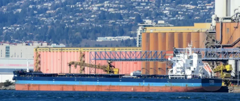 PABAL Bulk Carrier IMO 9614842 photo 9