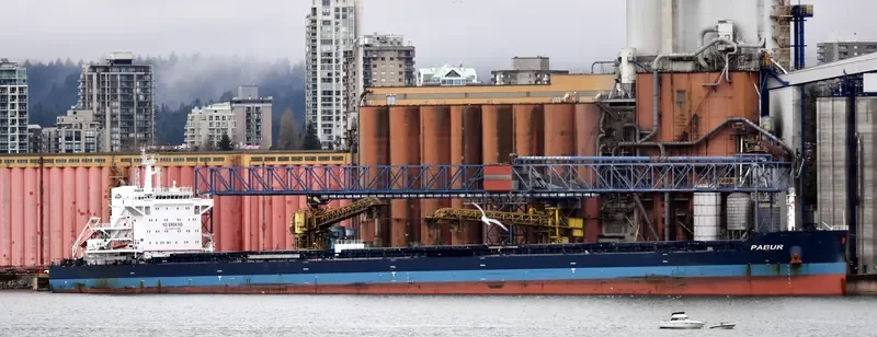 PABUR Bulk Carrier IMO 9614854 photo 5