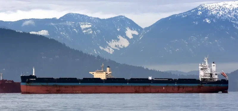 PABUR Bulk Carrier IMO 9614854 photo 9