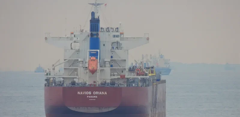 NAVIOS ORIANA Bulk Carrier IMO 9614969 photo 4