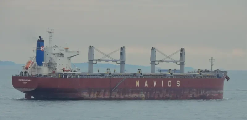 NAVIOS ORIANA Bulk Carrier IMO 9614969 photo 5