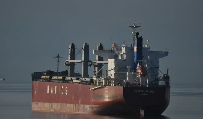 NAVIOS ORIANA Bulk Carrier IMO 9614969 photo 10
