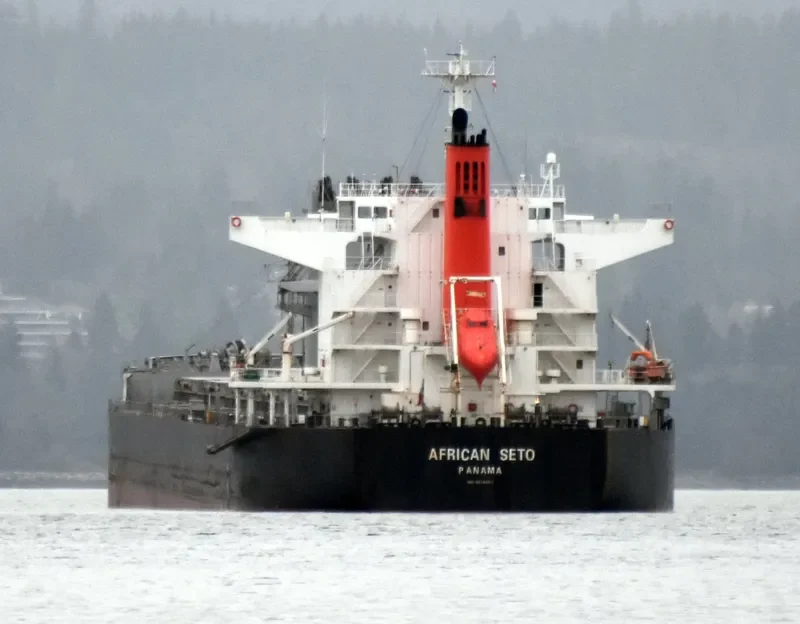 AFRICAN SETO Bulk Carrier IMO 9614983 photo 3
