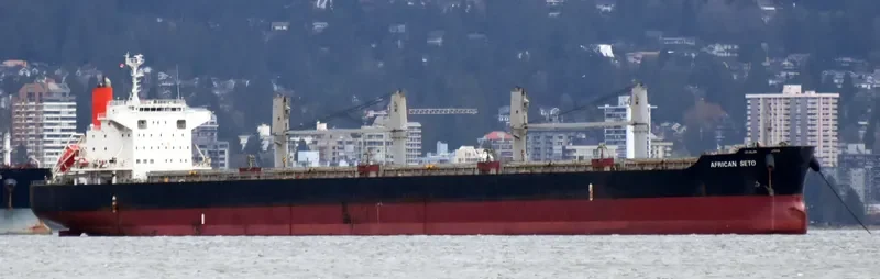 AFRICAN SETO Bulk Carrier IMO 9614983 photo 5