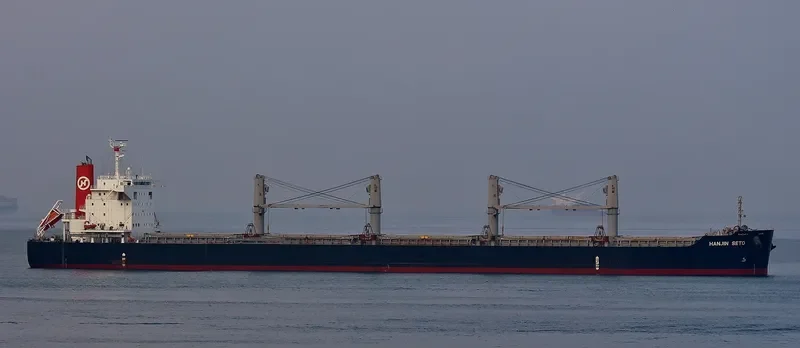 AFRICAN SETO Bulk Carrier IMO 9614983 photo 8