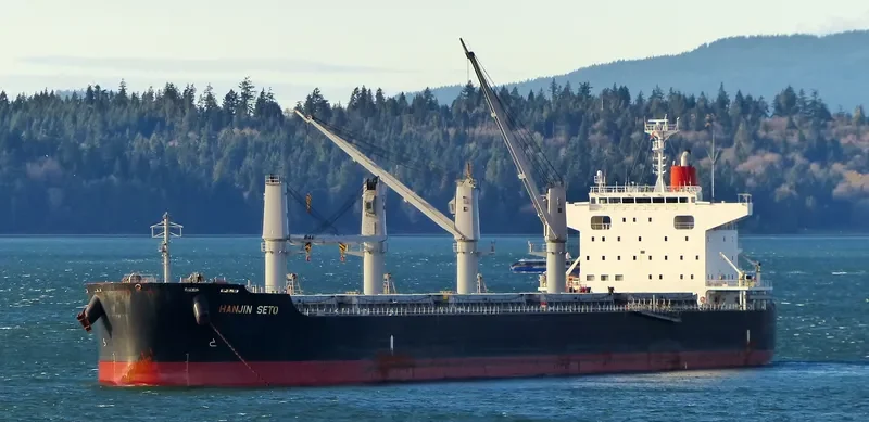 AFRICAN SETO Bulk Carrier IMO 9614983 photo 9