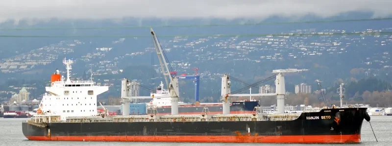 AFRICAN SETO Bulk Carrier IMO 9614983 photo 10