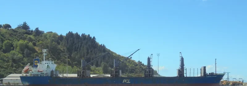 HADAR Bulk Carrier IMO 9615028