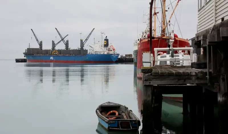 HADAR Bulk Carrier IMO 9615028 photo 6