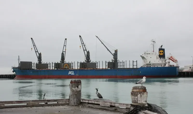 HADAR Bulk Carrier IMO 9615028 photo 7