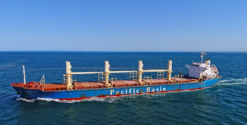 NYMPHI Bulk Carrier IMO 9615030 photo 3