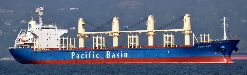 NYMPHI Bulk Carrier IMO 9615030 photo 4