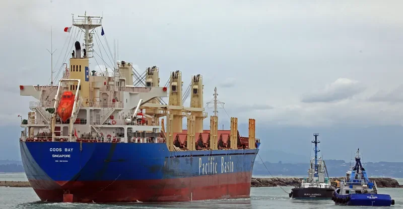 NYMPHI Bulk Carrier IMO 9615030 photo 7
