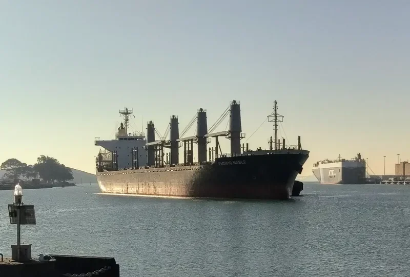 PACIFIC NOBLE Bulk Carrier IMO 9615066