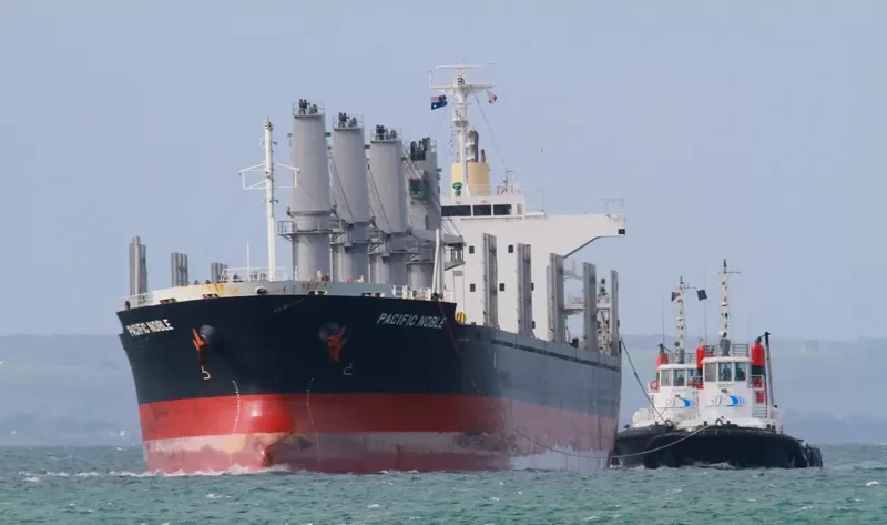 PACIFIC NOBLE Bulk Carrier IMO 9615066 photo 9