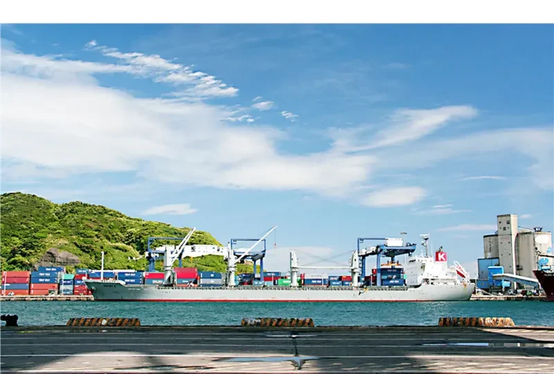 GOLD DUST Bulk Carrier IMO 9615078