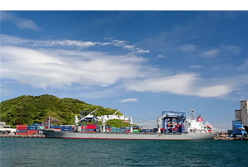 GOLD DUST Bulk Carrier IMO 9615078 photo 2