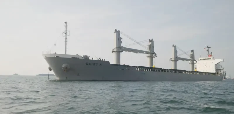 GOLD DUST Bulk Carrier IMO 9615078 photo 7