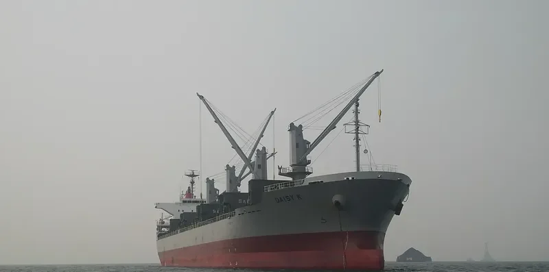 GOLD DUST Bulk Carrier IMO 9615078 photo 8