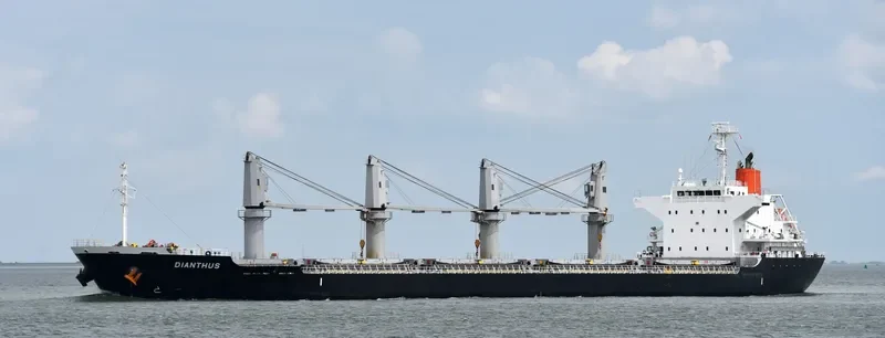 DIANTHUS Bulk Carrier IMO 9615080