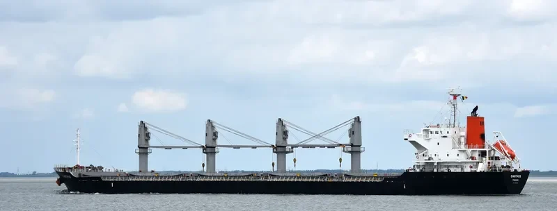 DIANTHUS Bulk Carrier IMO 9615080 photo 2