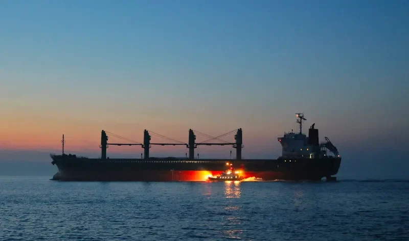 DIANTHUS Bulk Carrier IMO 9615080 photo 4