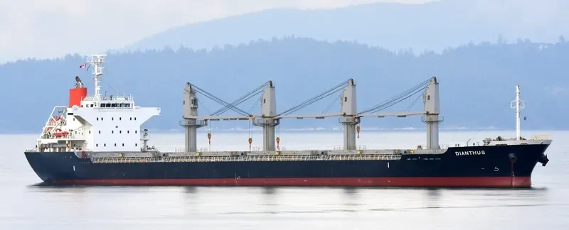 DIANTHUS Bulk Carrier IMO 9615080 photo 6