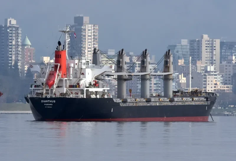 DIANTHUS Bulk Carrier IMO 9615080 photo 7