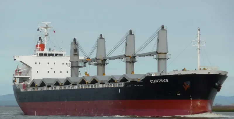 DIANTHUS Bulk Carrier IMO 9615080 photo 8
