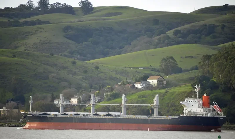 DIANTHUS Bulk Carrier IMO 9615080 photo 9