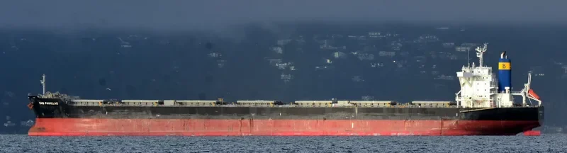 CMB PAUILLAC Bulk Carrier IMO 9615183 photo 4