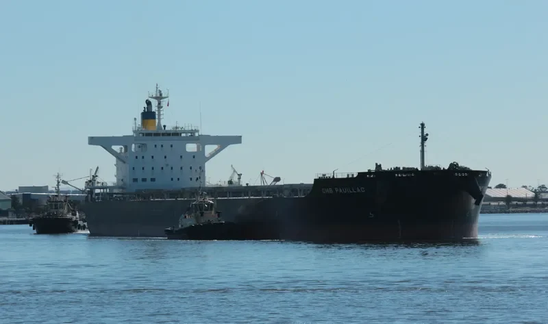 CMB PAUILLAC Bulk Carrier IMO 9615183 photo 7
