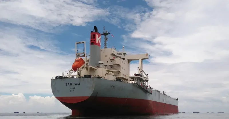 SARGAM Bulk Carrier IMO 9615195 photo 2