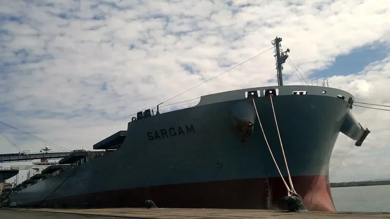 SARGAM Bulk Carrier IMO 9615195 photo 4