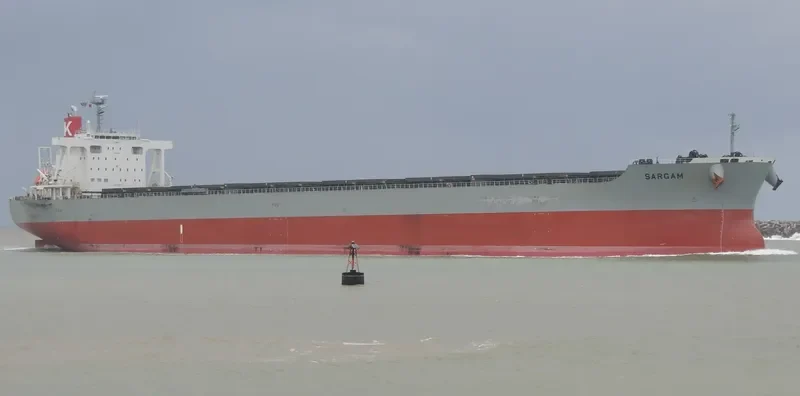 SARGAM Bulk Carrier IMO 9615195 photo 6