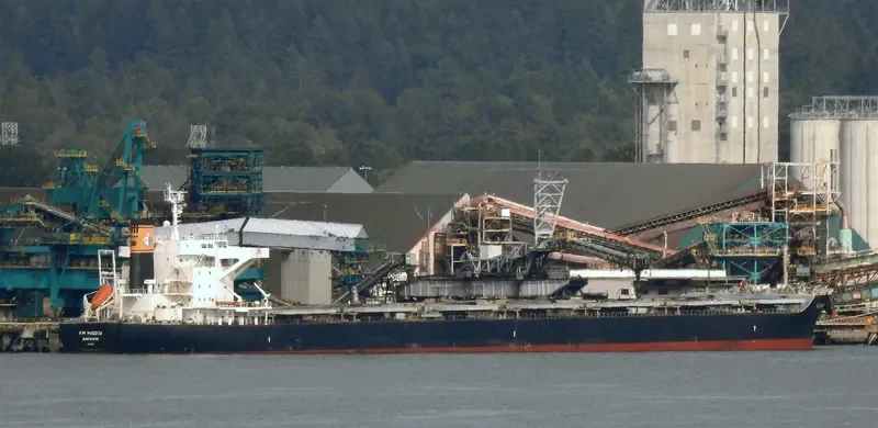 KM NAGOYA Bulk Carrier IMO 9615212 photo 6